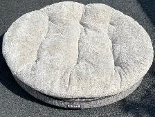 Dog Pet Accessories in Like New Condition - Photo 3