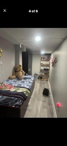 basement - Photo 5