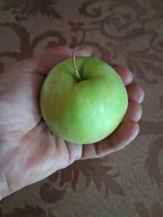 Fresh Garden Apples