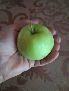 Fresh Garden Apples