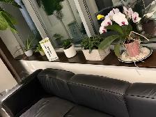 OFFICE CLEANING JOB - Photo 6