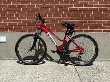 Mountain Bike - Photo 2