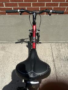 Mountain Bike - Photo 3