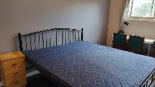 Furnished and Quiet Student Housing near Fanshawe College - Photo 3