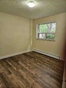 1 Bedroom Apartment at 2685 King St E, Hamilton! - Photo 6