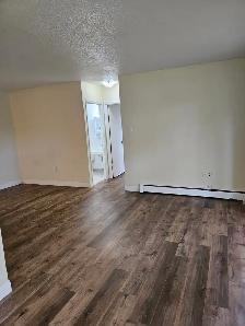 1 Bedroom Apartment at 2685 King St E, Hamilton! - Photo 7