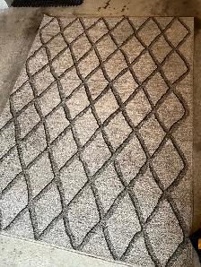 Shampoo Steam Clean Area Rugs Runners $40 - Photo 4
