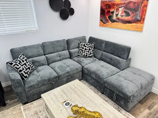 New Sleek Sectional Sofa Bed With USB Charging Port At Hot Sale