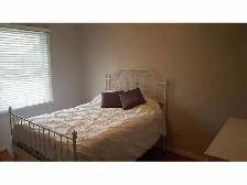 Hamilton W Mountain-3 Beds 1 living Quiet Whole MainFloor Rental - Photo 3
