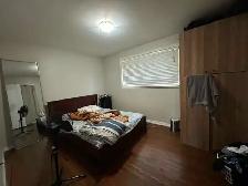 Hamilton W Mountain-3 Beds 1 living Quiet Whole MainFloor Rental - Photo 8
