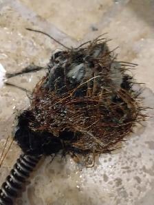PLUMBING DRAIN ROUGH IN SUMP PUMP ISSUE WATERPROOFING BASEMENT