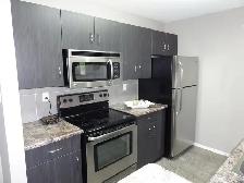 Beautiful one bedroom apartment near UofM available Sept 1 - Photo 3