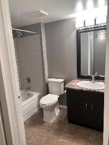 Beautiful one bedroom apartment near UofM available Sept 1 - Photo 7