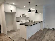 3 ½ avec Espace BUREAUet stationnement - Photo 5