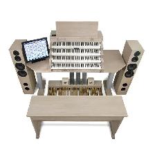 Global Organ Group