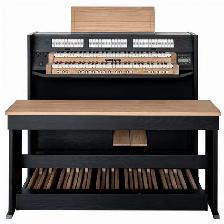 Global Organ Group - Photo 2