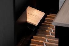 Global Organ Group - Photo 3