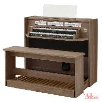 Global Organ Group - Photo 4