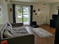 Studio 1 Bath - Apartment - Photo 3