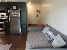 Studio 1 Bath - Apartment - Photo 5