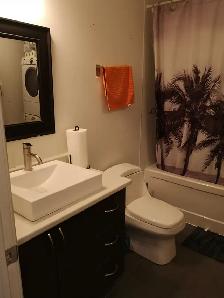 Studio 1 Bath - Apartment - Photo 6
