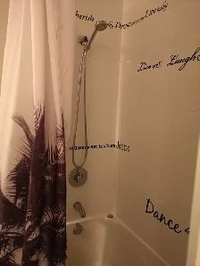 Studio 1 Bath - Apartment - Photo 7
