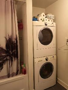 Studio 1 Bath - Apartment - Photo 8