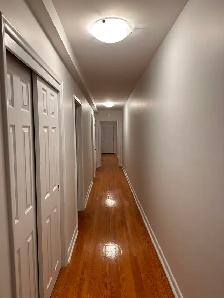 High Park Spacious Apartment - Photo 3