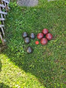 bocci balls  for sale