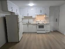 MODERN 2 BEDROOM BASEMENT SUITE FOR RENT IN BURNABY HOSPITAL ARE - Photo 2