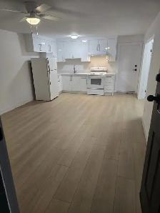 MODERN 2 BEDROOM BASEMENT SUITE FOR RENT IN BURNABY HOSPITAL ARE - Photo 3