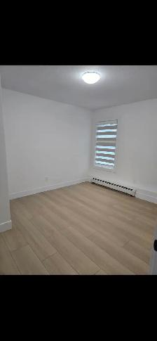 MODERN 2 BEDROOM BASEMENT SUITE FOR RENT IN BURNABY HOSPITAL ARE - Photo 10