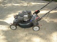 Tondeuse avec Moteur Honda