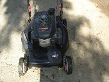 Tondeuse avec Moteur Honda - Photo 2