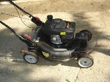 Tondeuse avec Moteur Honda - Photo 3