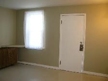CENTRAL-HEATED 1 BEDROOM - Photo 5
