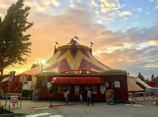 CASH JOB TODAY ONLY - Royal Canadian Circus in Markham - Photo 2