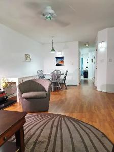 9.1-Sunny Rm All Included for a Working Pro.-Mid-town-Short/Long - Photo 3