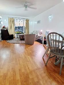9.1-Sunny Rm All Included for a Working Pro.-Mid-town-Short/Long - Photo 19