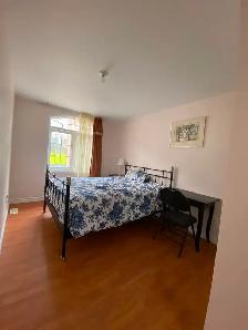 Master Room For Rent $1000 - Photo 3