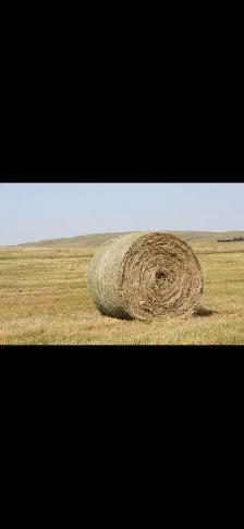 hay hauling Kingston and surrounding areas