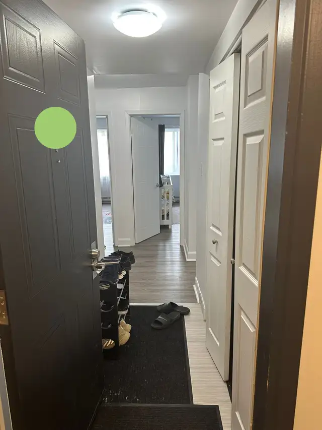 4-1/2 rénové à Louer: $1675/m, Immédiat à Longueuil