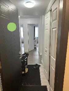 4-1/2 rénové à Louer: $1675/m, Immédiat à Longueuil