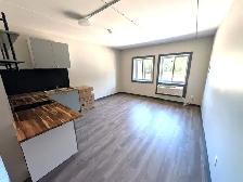 1 BEDROOM APART HUNTSVILLE starting at $1650.00 - Photo 2