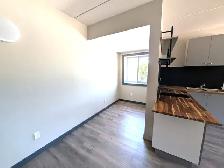 1 BEDROOM APART HUNTSVILLE starting at $1650.00 - Photo 4