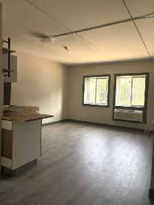 1 BEDROOM APART HUNTSVILLE starting at $1650.00 - Photo 5
