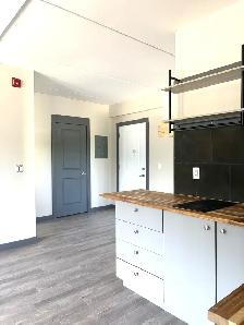 1 BEDROOM APART HUNTSVILLE starting at $1650.00 - Photo 9