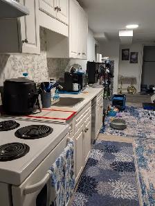 Basement For Rent, One bedroom Apt  with walkout to yard. - Photo 2