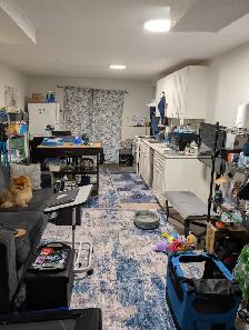 Basement For Rent, One bedroom Apt  with walkout to yard. - Photo 3