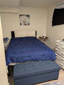 Basement For Rent, One bedroom Apt  with walkout to yard. - Photo 5